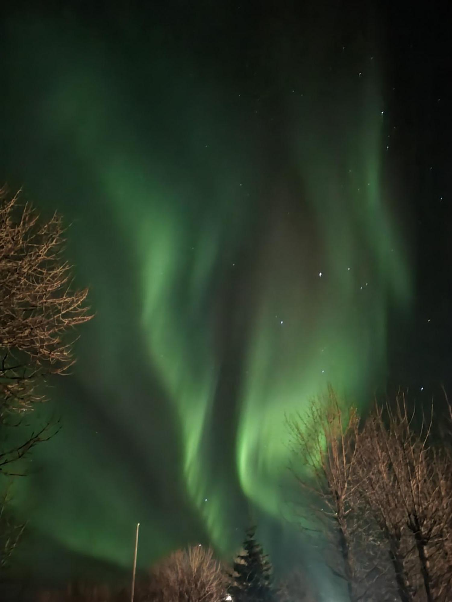 Spoi Guesthouse Hvolsvöllur Buitenkant foto